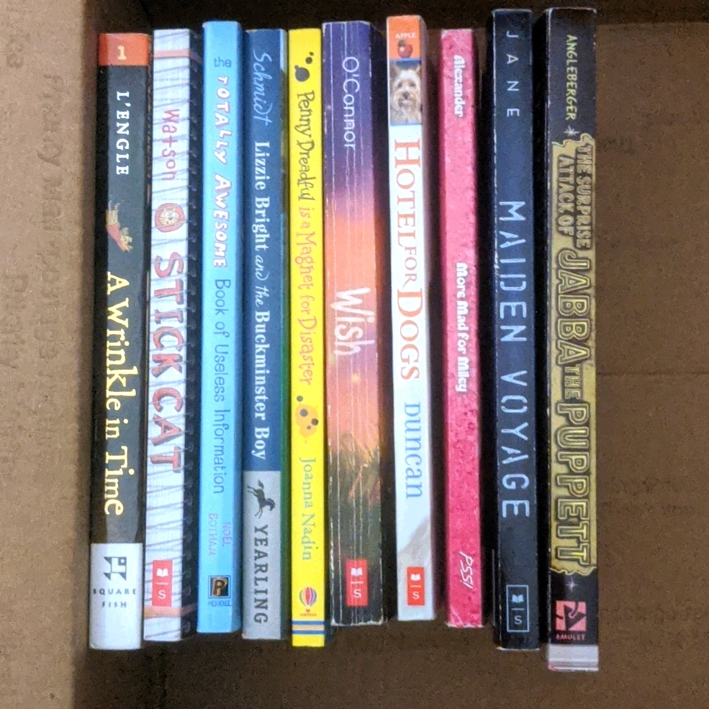 10 chapter books-soft cover